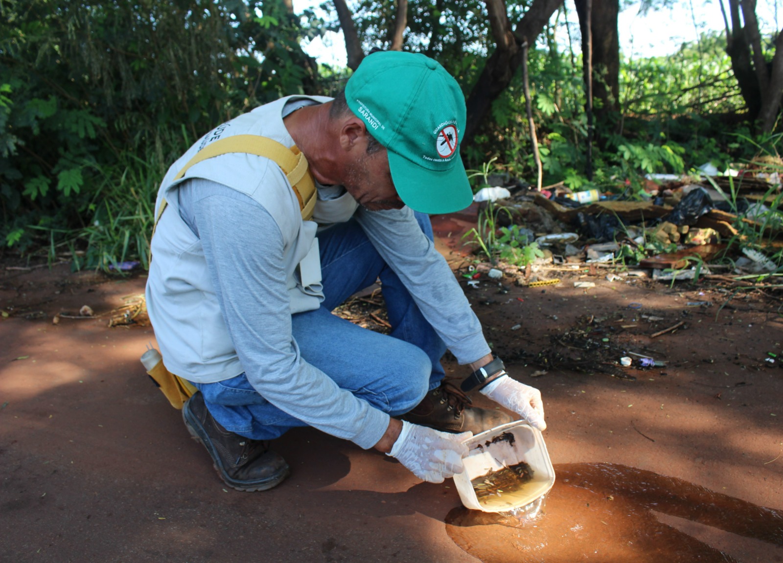 Em carta aberta, Prefeitura de Sarandi reforça alerta contra dengue e convoca para ‘arrastão’ dia 15